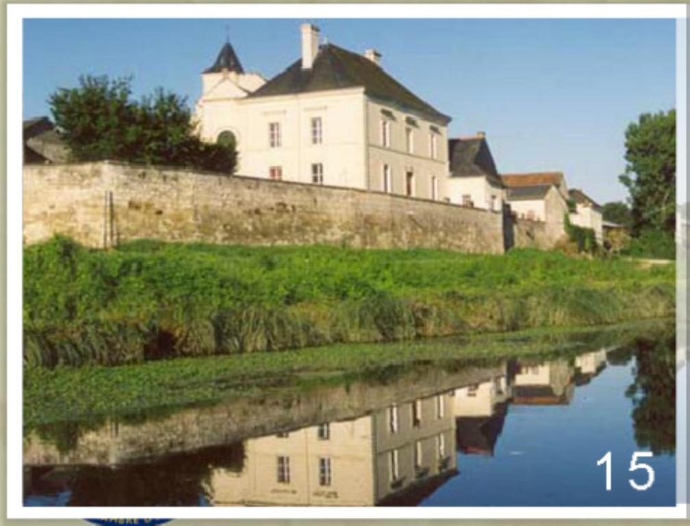 Domaine Du Heron Chinon Luaran gambar