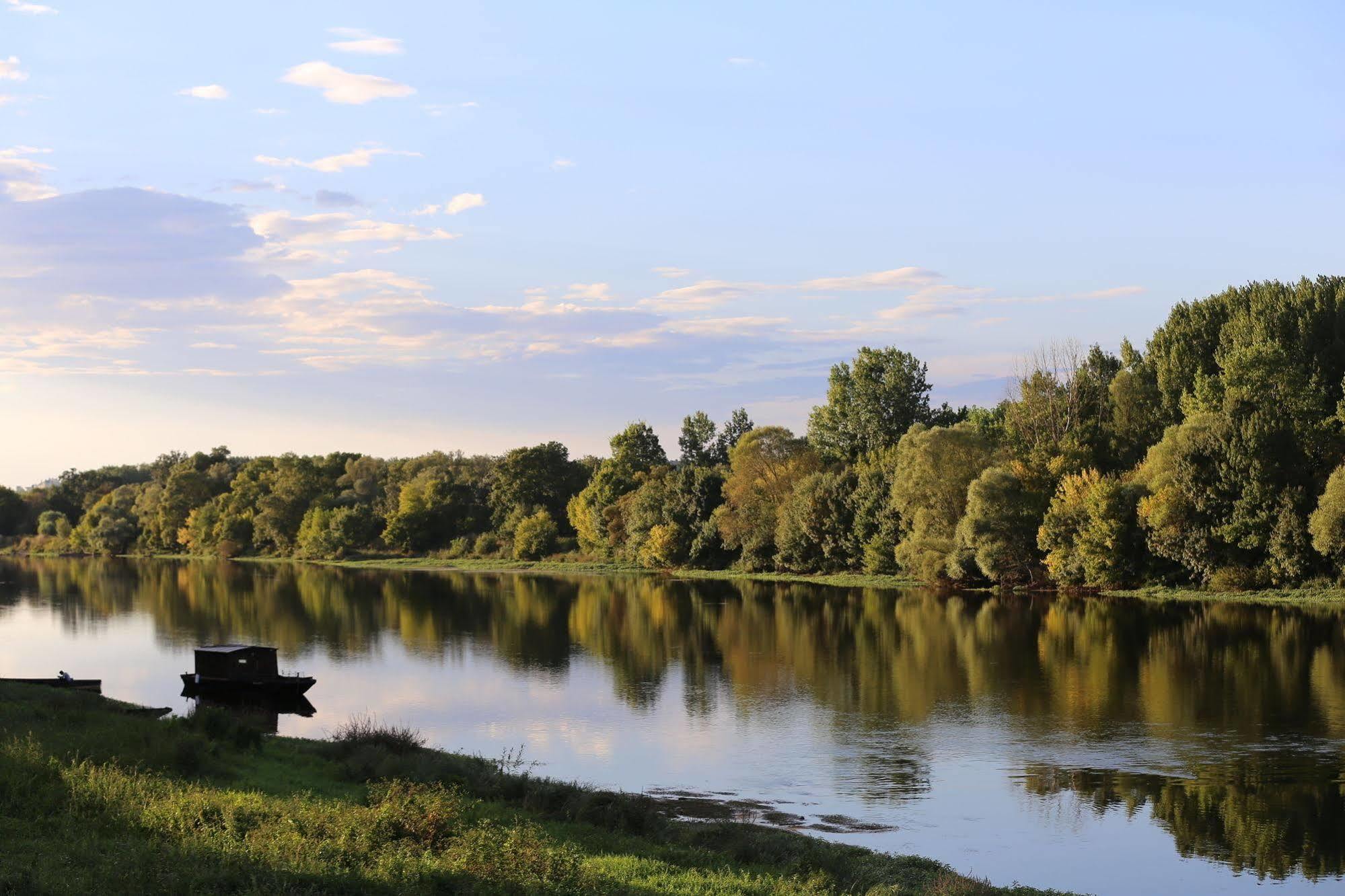 Domaine Du Heron Chinon Luaran gambar